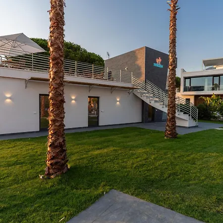 Horizon 贝尔韦代雷