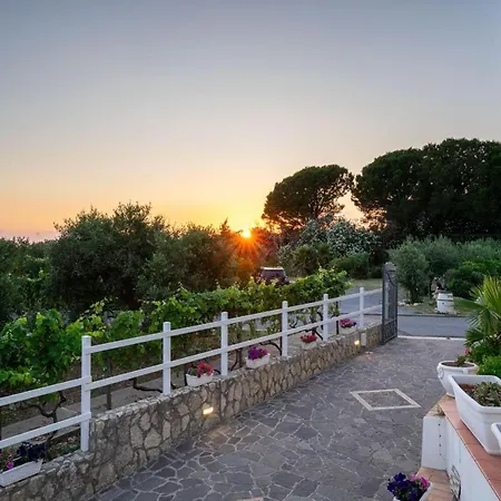 Bed and breakfast Horizon