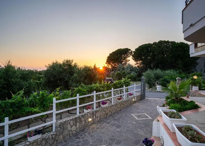 Alojamento de Acomodação e Pequeno-almoço Horizon