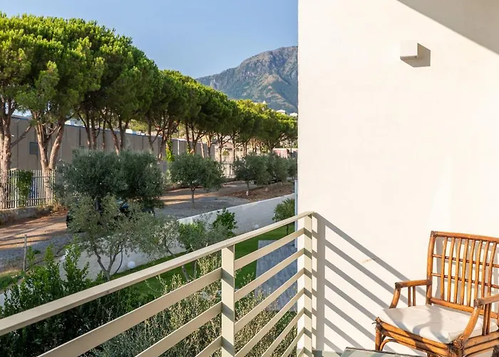 Horizon 贝尔韦代雷